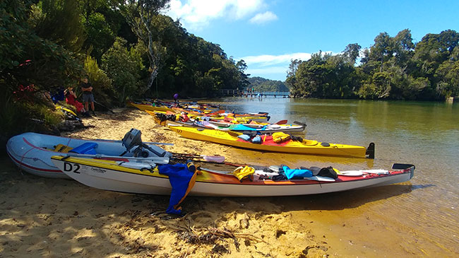 Jensen Bay