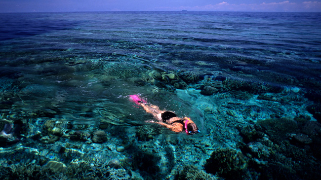 Yasawa Island Resort & Spa