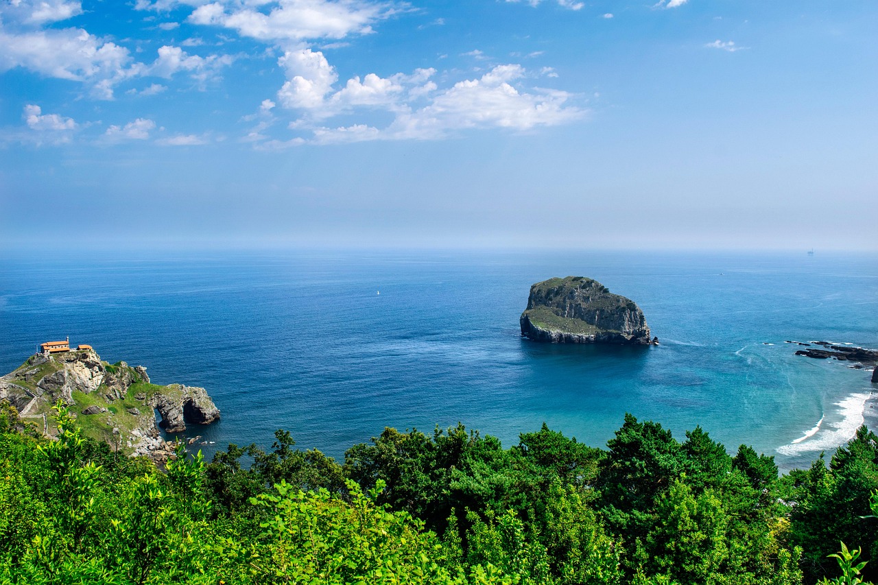 A canopy of trees that overlook the ocean and a cliff