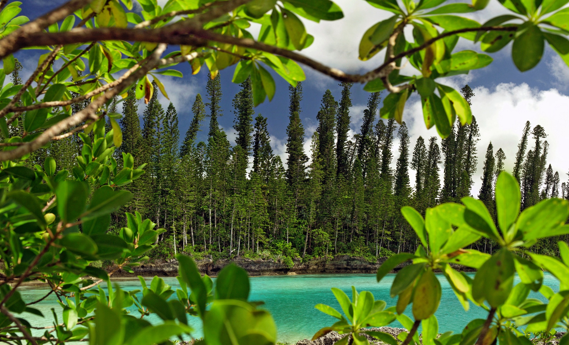 Top 9 Wildlife Experiences in New Caledonia for Nature Lovers