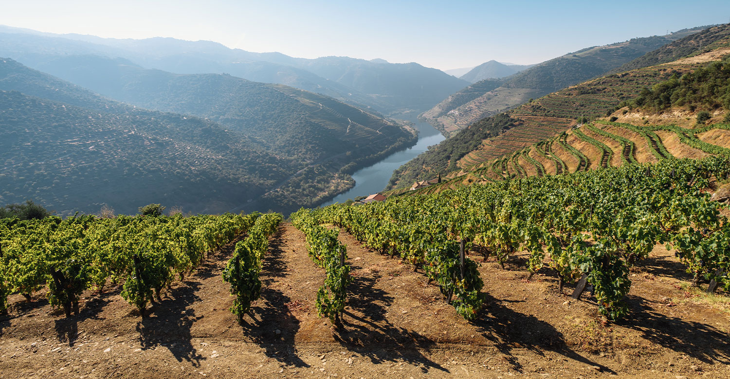 Hilton Moorea Lagoon Resort & Spa