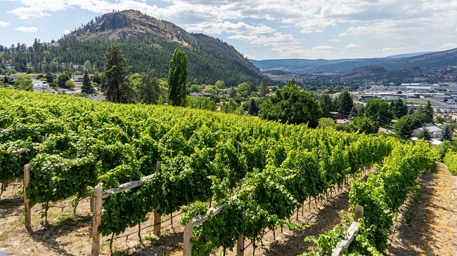 Vancouver → Salmon Arm