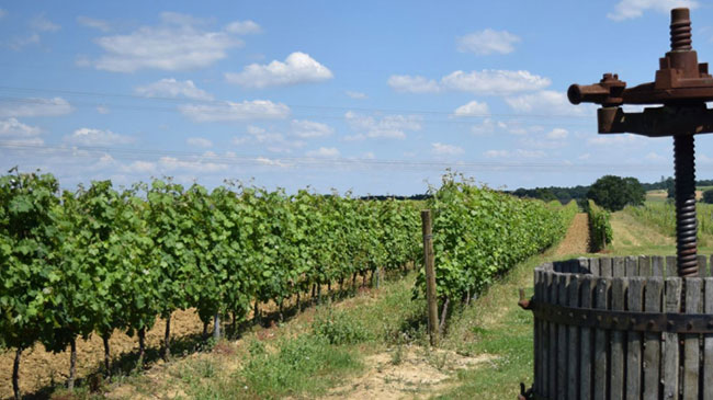 Reims → Taittinger → Epernay → Reims