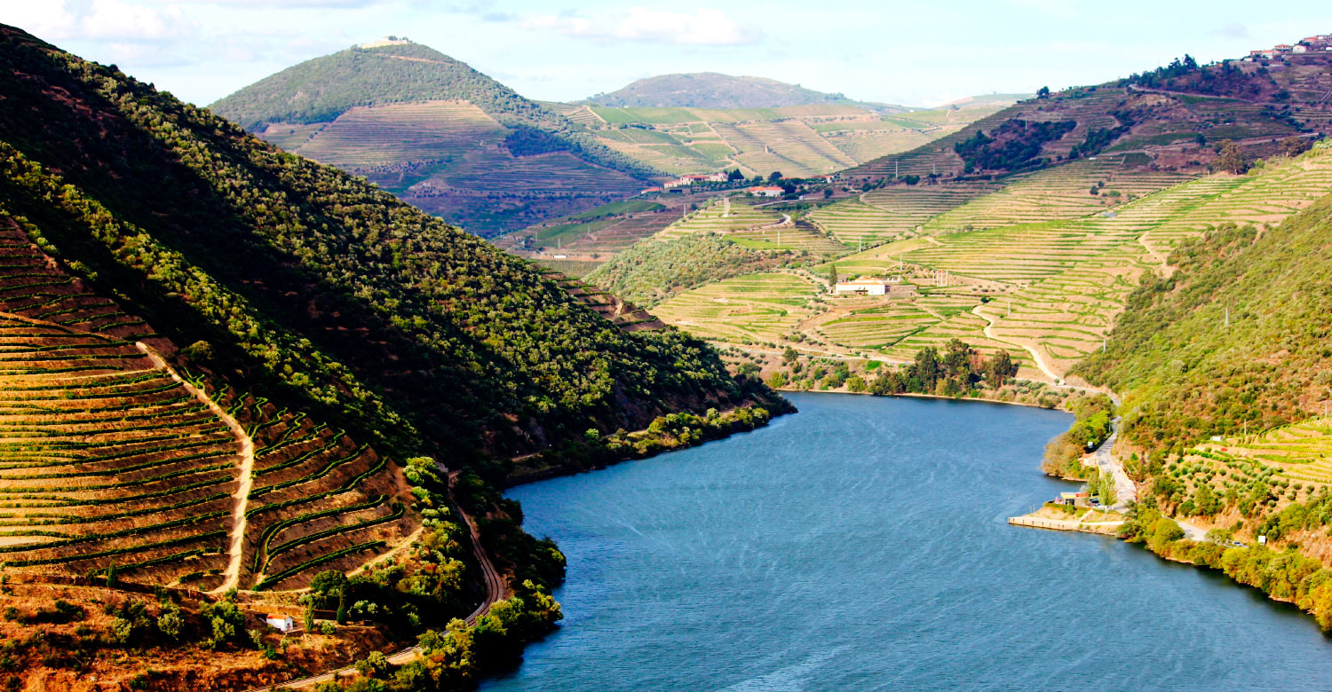 Sail gently along the beautiful Douro River, a UNESCO site.