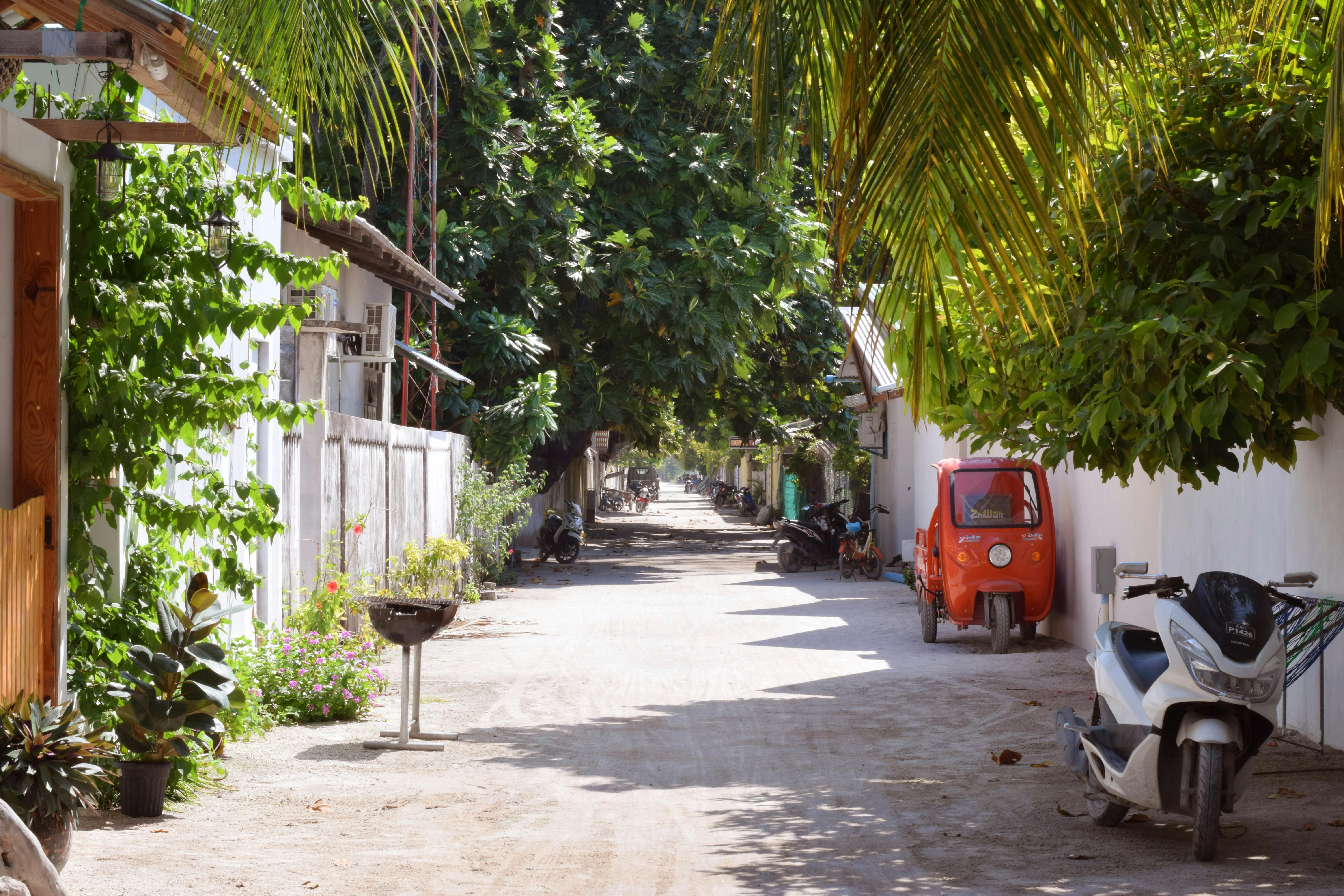 How to Experience the Maldives Like a Local
