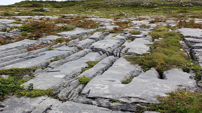 Galway → Co. Clare → Burren Region → Galway