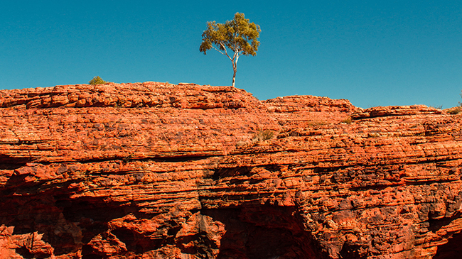 Kings Canyon → Alice Springs