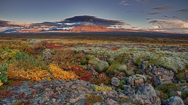 Reykjavik → Golden Circle → Reykjavik