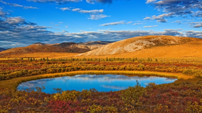 Dawson City → Eagle Plains