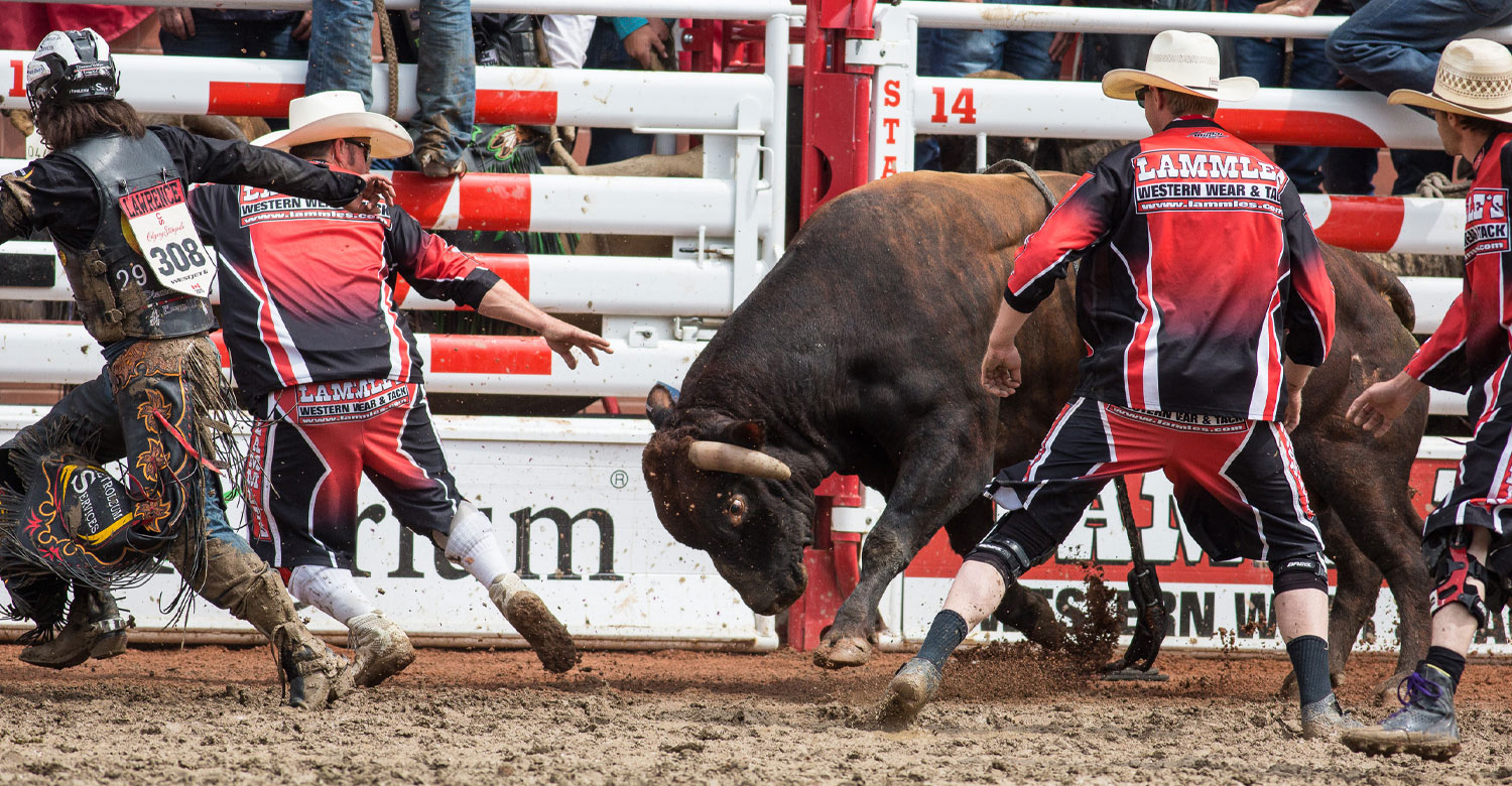 Bullfighting show during the Calgary Stampede